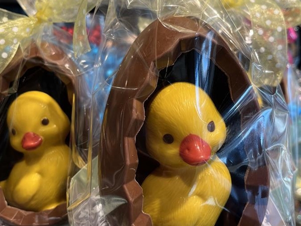 Liefelijk kuikentje in ei